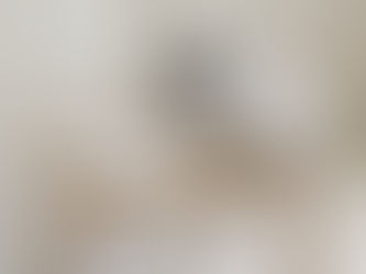      NEW SOCKS PARTIE PRO AERO