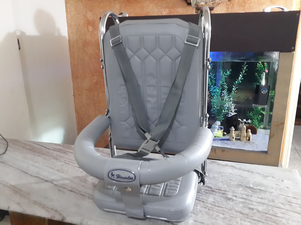 Miniatura: Cadeira de bebê veicular vintage . Fusca , Combe, Brasilia . anos 60