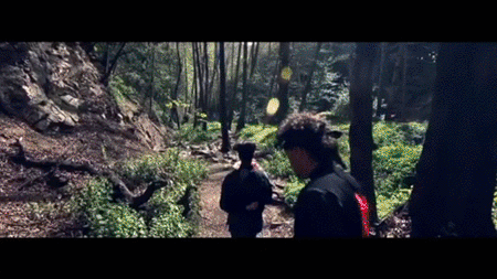 Real snippet 2017.gif