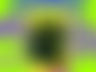 Friday on My Mind by the Easybeats album