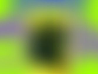 Friday on My Mind by the Easybeats album