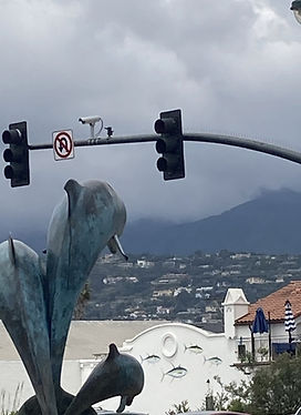 Dolphins_edited.jpg