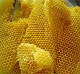 Beeswax.jpg