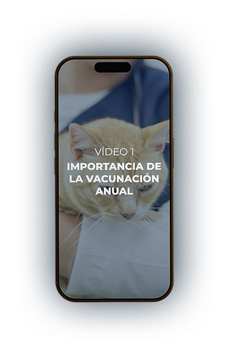 mockup video 1.2.png