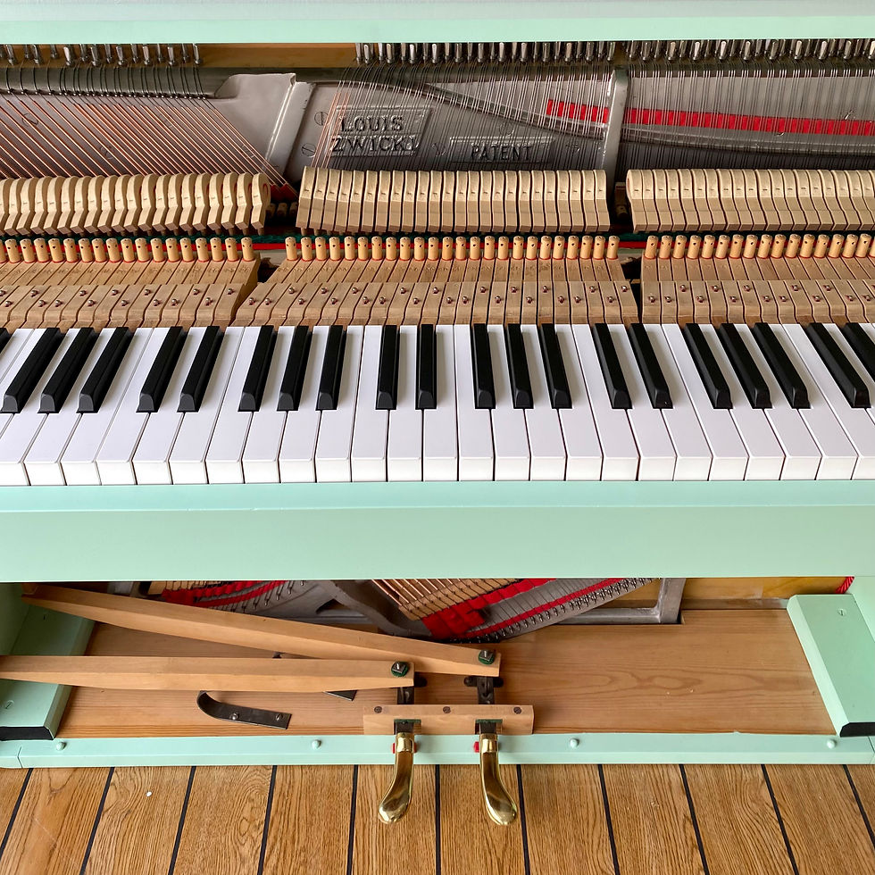 Miniaturebillede: Louis Zwicki