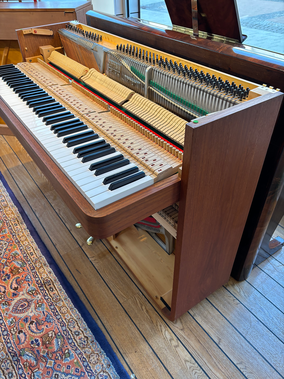 Miniaturebillede: Louis Zwicki