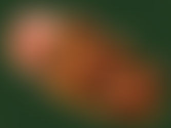 Dalchini Wimbledon – FAQs on Indo-Chinese Restaurant in London