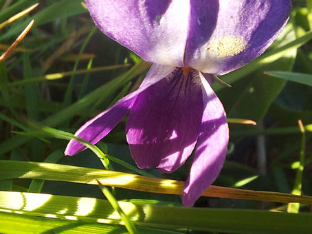 Ostern – vom Ende und vom Anfang