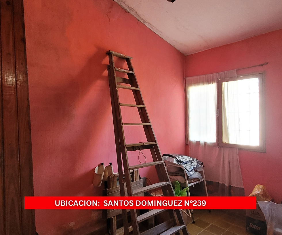 Miniatura: Santos Domínguez N° 239   (IAPV B° PARANA XV)