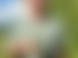 Daniel Edward Hardesty