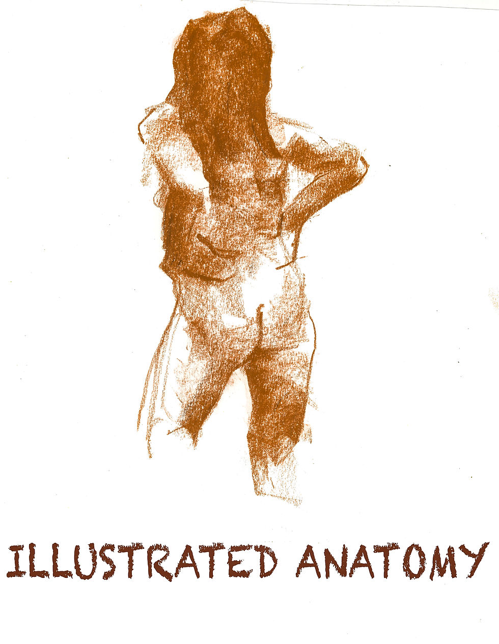ILLUSTRATED ANATOMY for events list