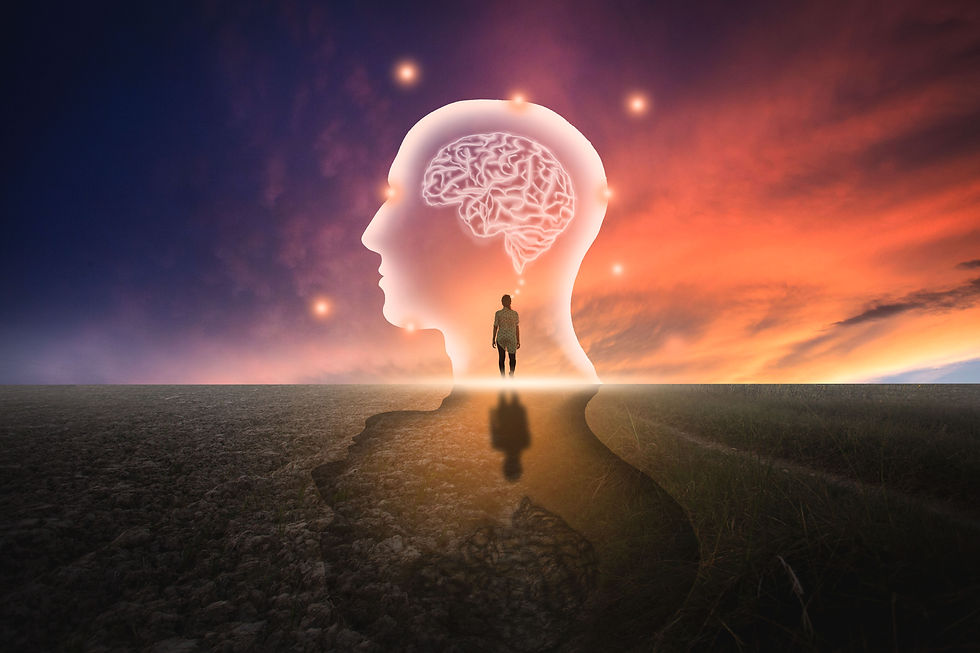 walking into the mind on the horizon.jpeg