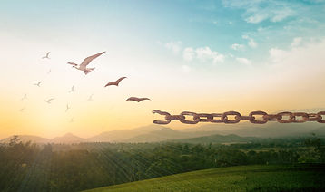 Breaking Free - Community.jpeg
