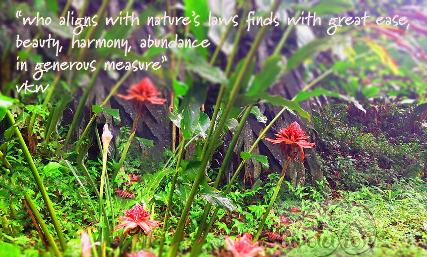 Who aligns with nature_Meme_VWylde.jpg