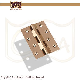 Premium Railway Hinges