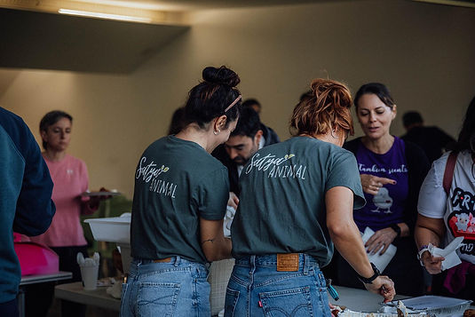 WhatsApp Image 2026-03-11 at 16.50.30.jpeg