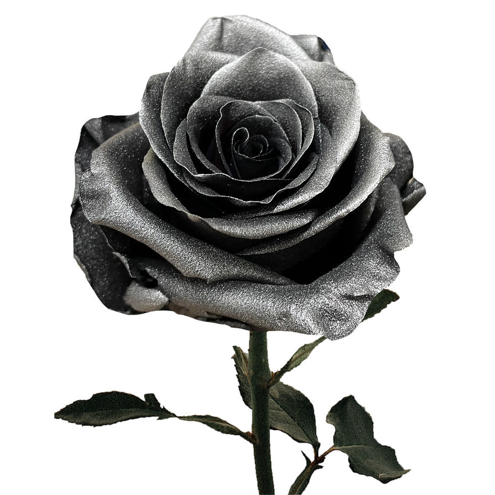 Miniature : Metallic Black