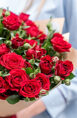 Flower and Rose Distributor | Rose Of Roses | Ecuador