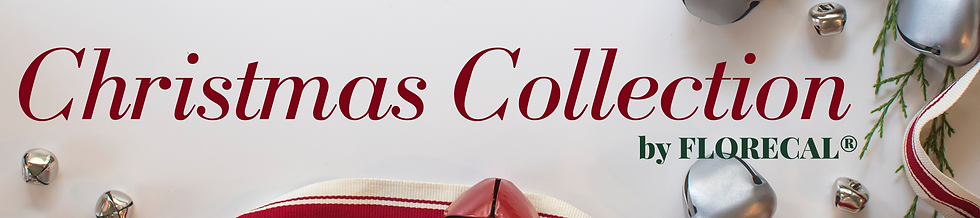 WEBSITE HEADERS (1).png