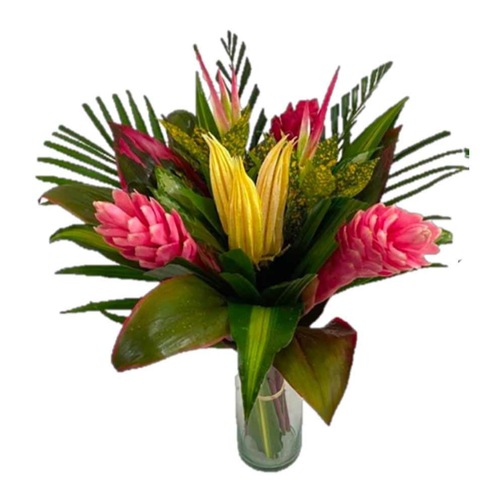 Medium Miracle Yellow Tropicals