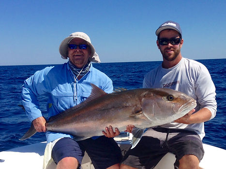 Large Amberjack caught deep sea fishing with fishprocharters.com