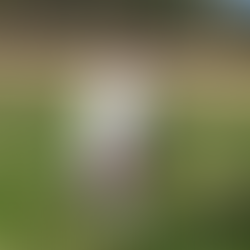 25 for 25 #3: Remembering Katherine Stewart