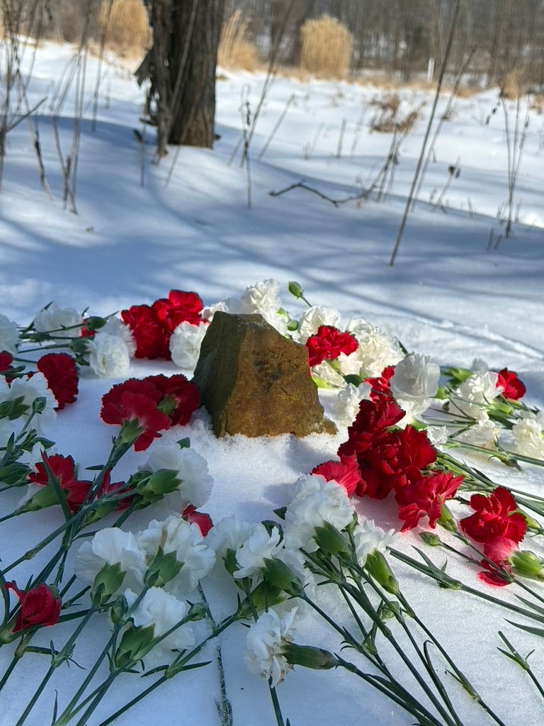 Emerging from the Sabbatical: Light Returns to Hope Springs