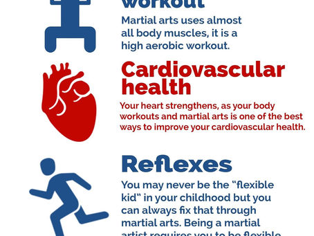 Benefits of Martial Arts: The Body