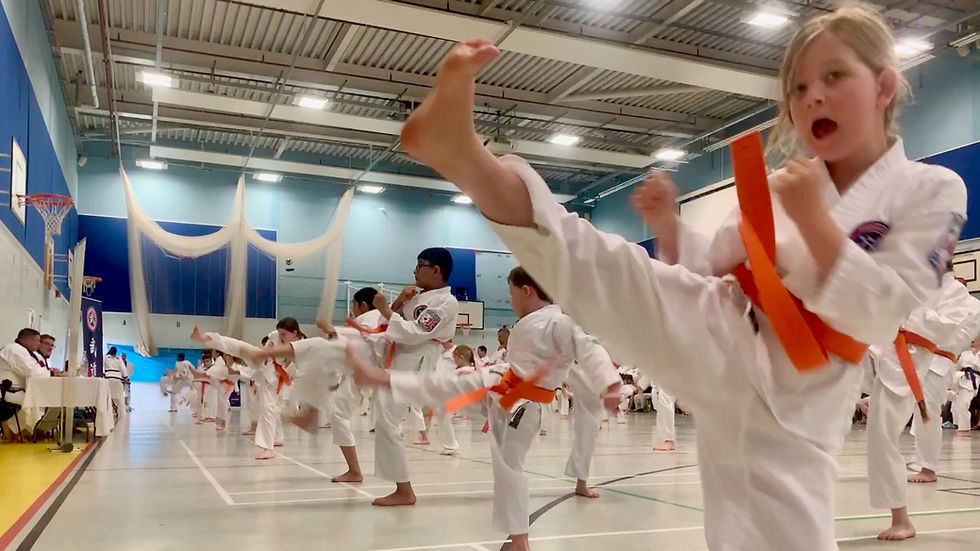 Orange Belts kicking