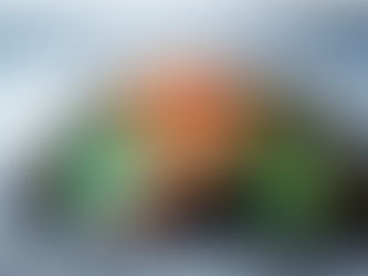 Queque de plátano 100% vegano