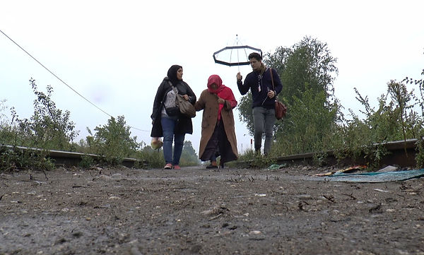 Notes on Displacement (DOC).jpeg