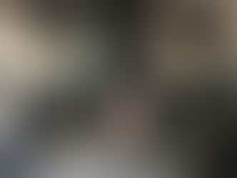 Hoxe martes en Amal: Janin, Jenin (doc) de Mohammed Bakri coa asistencia do actor palestino Saleh Bakri.