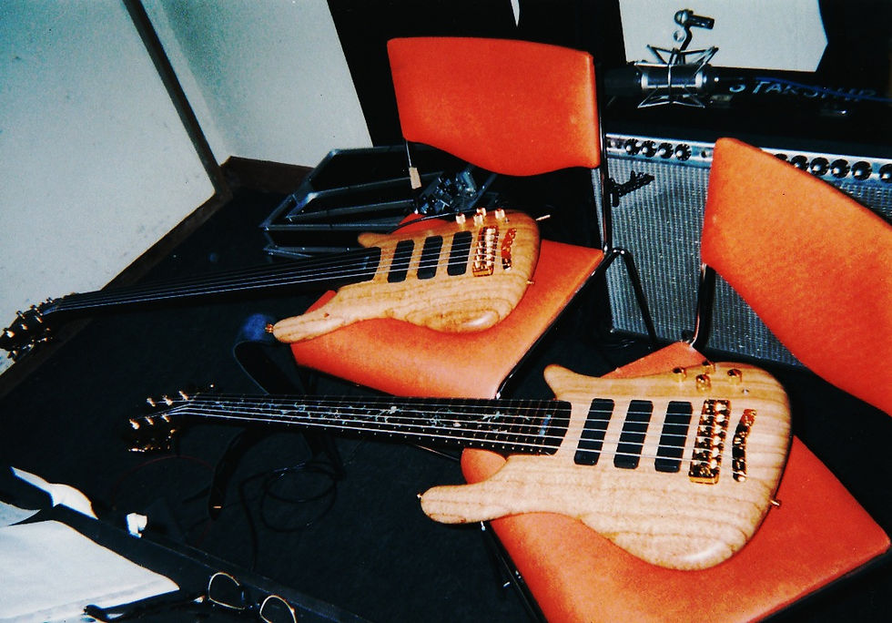 Warwick Custom made 6st. Basses