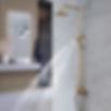 A well functioning showers is one of the handyman's expertise