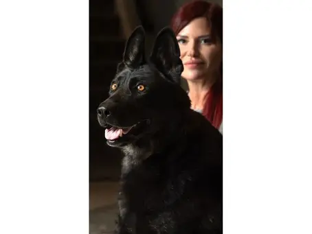 NJ Abuse Survivor Changing Lives With Protection Dogs