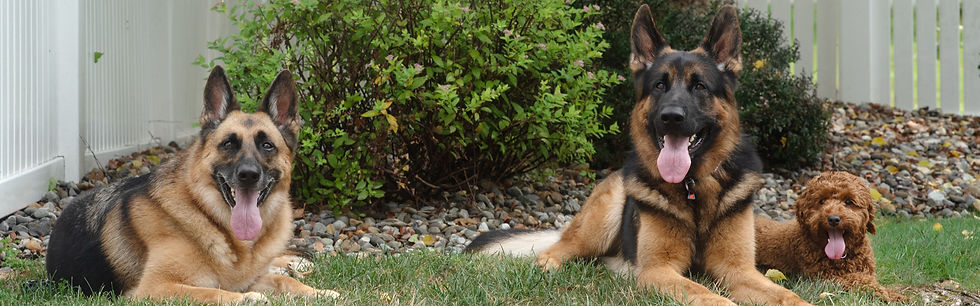 _DSC0842-Edit copy_edited.jpg