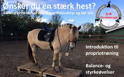 Personligt sammensat foredrag til Teigar Rideudstyr