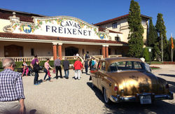Freixenet 2017 (©akrohn)