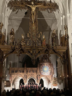 Dom zu Lübeck 23.11.23