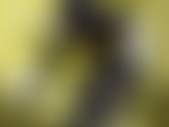 令和6年度 みやざき県民総合スポーツ際 ・ 宮崎県高等学校総合体育大会 ロードレース