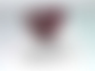 Tretí rok komentárov, blogov a knižnej tvorby v roku 2016