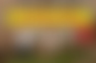 Vidente no Rio de Janeiro - Vidente da Amarração