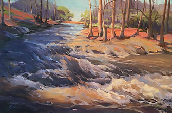 Tumble Down (Cathance River).jpeg