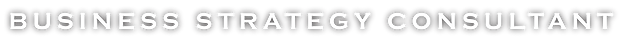 Business Strategy Consultant