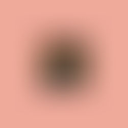 Vegas finally gets a slice of NYC fashion with first Intermix