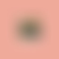 Piano Gallery of America showcases four exquisite brands