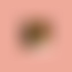 How Ron Herman rode the California fashion wave into Vegas