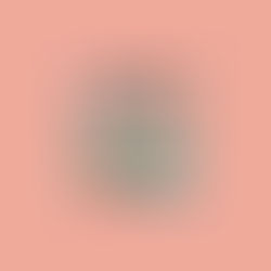 Vegas pool parties make a summer splash