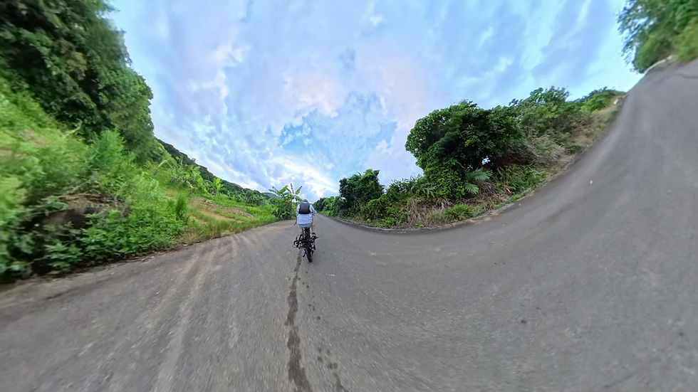 西表島の大自然をE-Bikeで駆け巡るロケーション撮影・フィールドポートレート体験ツアー（WILD TRACKS）