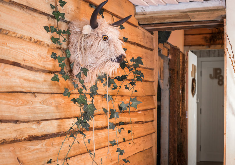 Decor Yak Head.jpeg
